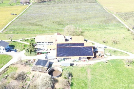 Landwirtschaft in Wangen bei Olten